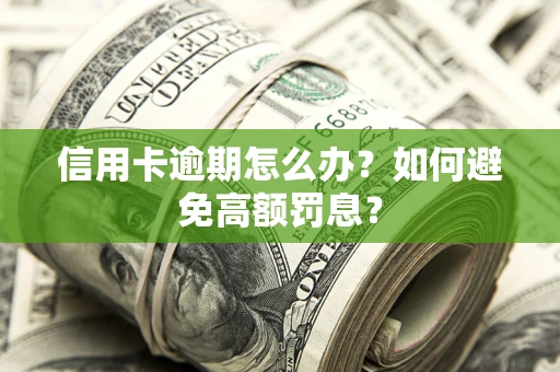 济南信用卡逾期怎么办？如何避免高额罚息？