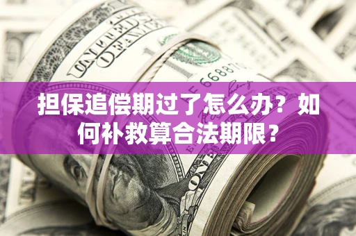 济南担保追偿期过了怎么办？如何补救算合法期限？